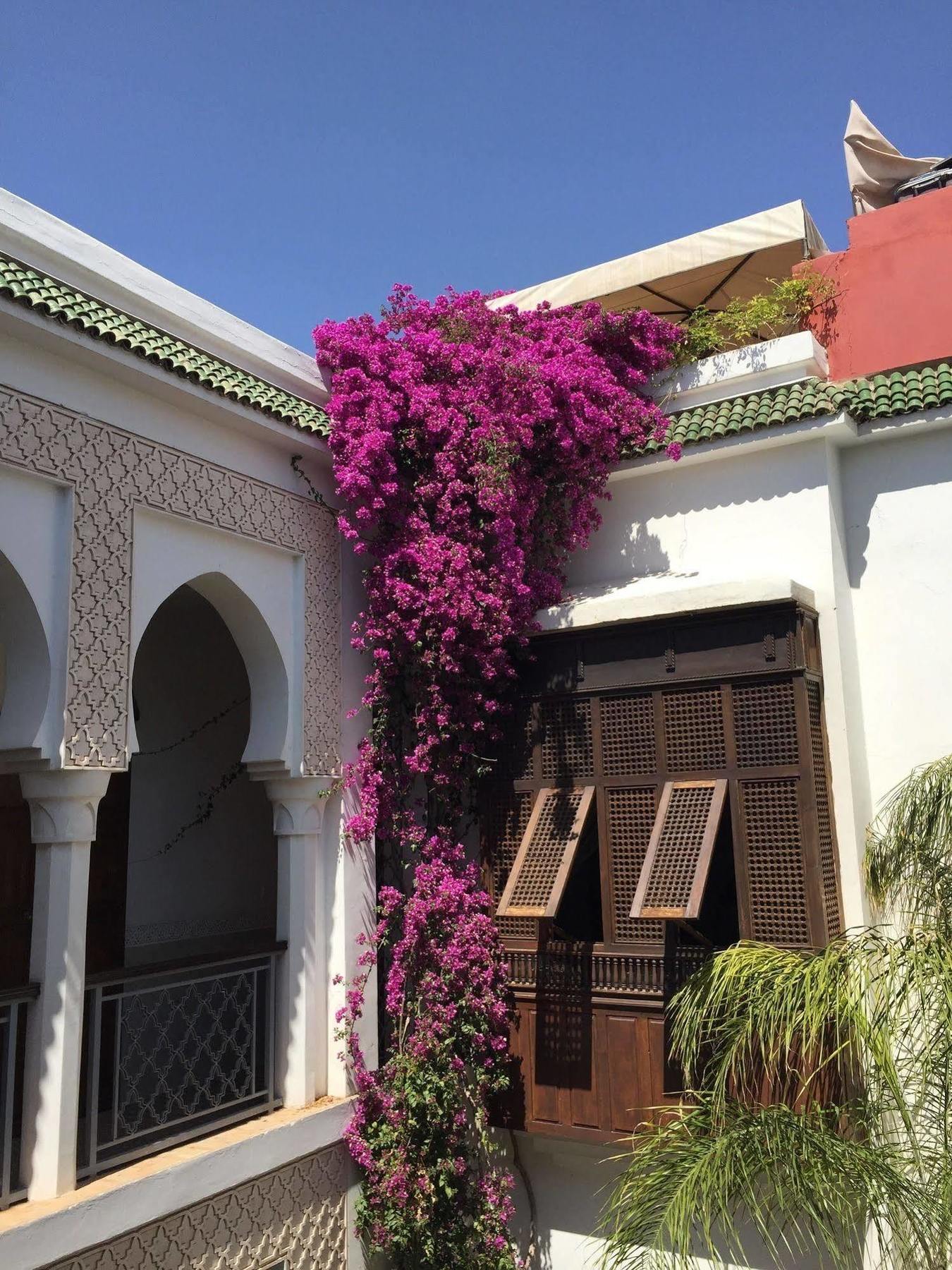 Riad Yasmine Marrakesh Exterior photo